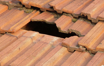 roof repair Dol Y Cannau, Powys